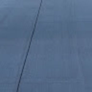 Meet your Posher, Lily